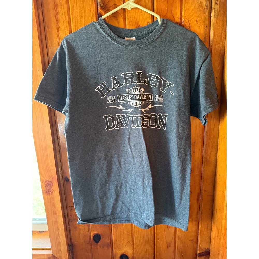 Harley-Davidson Gray Graphic T-Shirt Motorcycle Ride Free Cycles Gildan M